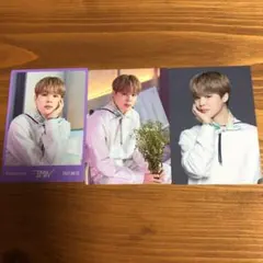 BTS SOWOOZOO ミニフォトトレカ ジミン