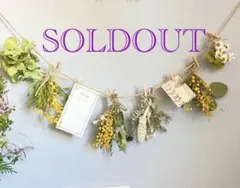 Item thumbnail for item 026a9378-8f54-4f4e-bea6-97c35a00ad0e