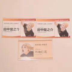 ハイキュー FAN PARK 名刺コレクション 田中龍之介 谷地仁花