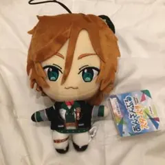 2025年最新】三毛縞斑 ぬいぐるみ 新衣装の人気アイテム - メルカリ