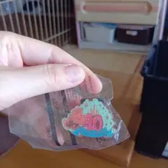 ミッキー・マウス 40周年記念ピンバッジ