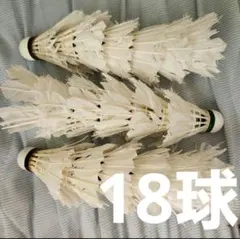 2025年最新】バドミントン シャトル 使用済の人気アイテム