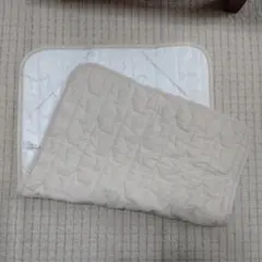 Item thumbnail for item 10ed62d1-471e-4982-b87d-b15a64a0b19a