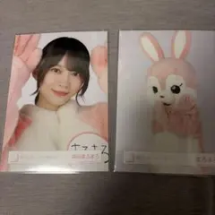 森田ひかる 櫻坂46 生写真 見つけて櫻坂うさぎ 6種コンプ - メルカリ