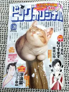 Item thumbnail for item f560afcf-f5ef-4b34-850e-82eae3b2b636