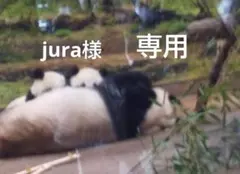 jura様 リクエスト 2点 まとめ商品