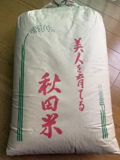 早い者勝ち！秋田県産サキホコレ30キロです　玄米のサムネイル