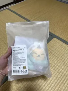 SEVENTEEN HOSHI TAMTAM PLUSH KEYRING