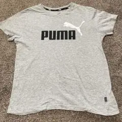 PUMA グレーTシャツ 160cm
