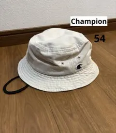 Item thumbnail for item 830161b1-8086-4c61-ba03-9c29ec99b6f4