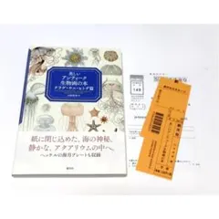 本 / 書籍◇ 山田英春 美しいアンティーク生物画の本 クラゲ・ウニ・ヒトデ篇