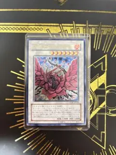 極美品］遊戯王 ブラック・ローズ・ドラゴン 旧レリーフ CSOC-JP039