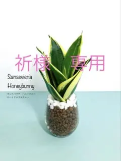 祈⚫プロフィール必読⚫様 リクエスト 2点 まとめ商品