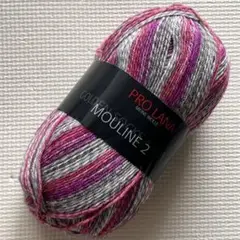 PRO LANA 毛糸 MOULINE 2 / 411