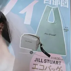 ゼクシィ6月号付録　ジルスチュアートエコバッグ&ポーチ　JILLSTUART