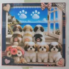 かわいい♡チワワちゃん柴犬ちゃんシーズーちゃんetc.オーダー受付