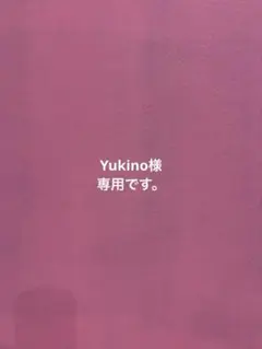 Yukino様 リクエスト 2点 まとめ商品