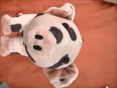 Item thumbnail for item f6b189e2-da09-4ec7-a5e7-94eeede4c331