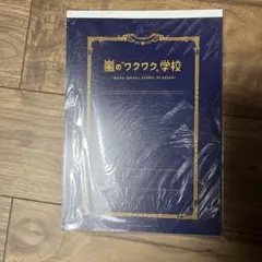 嵐　ワクワク学校2013 ノート　下敷き
