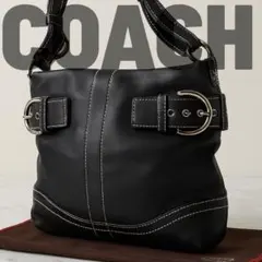 ✨美品✨COACH コーチ レザー ショルダーバッグ トートバッグ 保存袋付き
