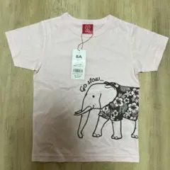 Item thumbnail for item 64ae08b3-a9cc-4ce6-a846-6c1aca2dc5e3