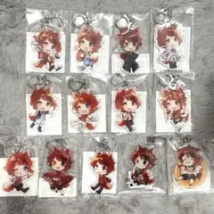 【美品・未使用】 すとぷり 莉犬くん アクリルキーホルダー 13点セット
