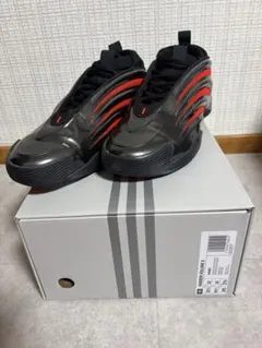 adidas Harden Volume 9 アルバルク 28cm US10 - メルカリ