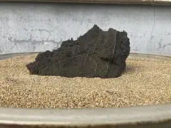 結晶片岩 庭石 阿波石 日本 庭園 造園 坪庭 枯山水 景石 三波石 飛び石