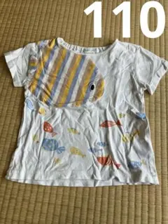 おさかなTシャツ 110cmのサムネイル