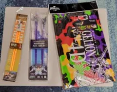 ​【激レア当時物】エヴァンゲリオン 日本刀展 箸2膳＆USJ限定タオル3点セット エヴァグッズ No.482～490 【ヱヴァンゲリヲンと日本刀展】 チラシ各種 その他