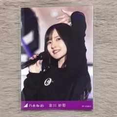 Item thumbnail for item 988bcd89-c89c-448f-8c1f-da65bcd52a37