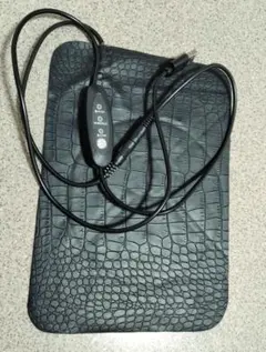 Item thumbnail for item 47cda32f-1ce4-43a3-9811-5c5253264270