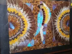 Item thumbnail for item afade1ae-dfe3-412d-9620-3b067a4e6473