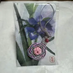 Item thumbnail for item 50802ff1-790b-46a6-81a4-5583c8fe80dd