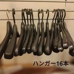 プラスチック製 衣類ハンガー 16本セット