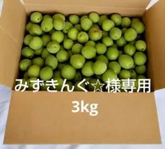 みずきんぐ☆様専用　青梅 3kg