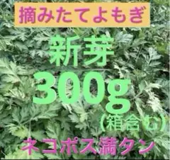 よもぎ無農薬　生よもぎ300g (箱含む)野菜詰め合わせ　よもぎ蒸し　よもぎ苗⑩のサムネイル