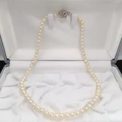 あこや真珠 5.5〜6.0mm アコヤパール 本真珠 ネックレス シルバー金具