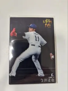 Item thumbnail for item 4ef8397e-e5b7-4b2d-b9f2-300303bf460f