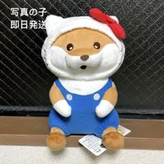 可愛い嘘のカワウソ×サンリオキャラクターズ BIGぬいぐるみ 【ハローキティ】