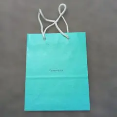 Item thumbnail for item 91182c18-62f8-4fde-bd3f-7a66b1351806