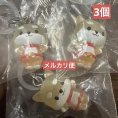 JOCHUM めじるしアクセサリー まめちぃ　3個セット