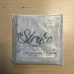 Item thumbnail for item 5dd039d1-6243-4b43-a574-5e78a6c9d3f3