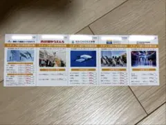 西武グループ　割引券