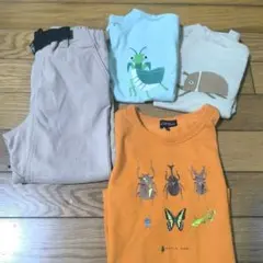 昆虫 プリントTシャツまとめ売り　半袖・長袖とストレッチパンツ