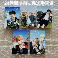 TXT セツナハナビ ソロジャケット盤 花 ver. トレカ 全員 コンプ