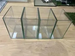 こるもん様専用