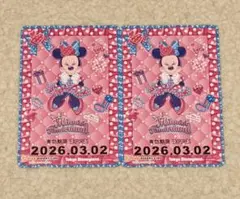 フリーきっぷ リゾートライン ミニーのファンダーランド 2枚セット