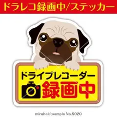 ドライブレコーダー ステッカー 録画中 ドラレコ 犬 パグ 車用 シールのサムネイル