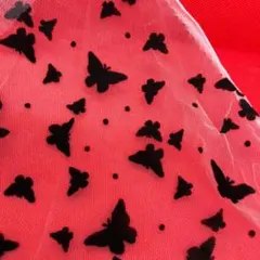 Item thumbnail for item 5f09fb0a-4047-476c-a660-6fb00d6037a0